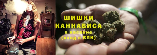 таблы Гусев