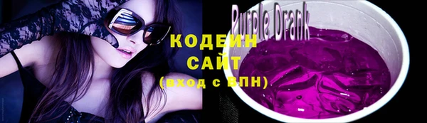 таблы Гусев