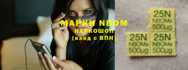 дживик Гусь-Хрустальный