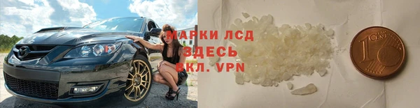 таблы Гусев