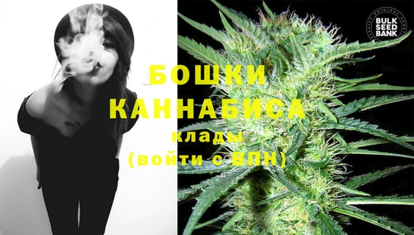 таблы Гусев