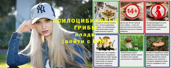 таблы Гусев