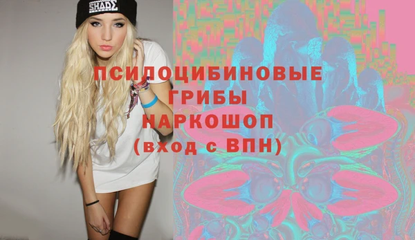 таблы Гусев