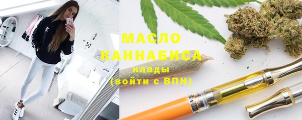 таблы Гусев