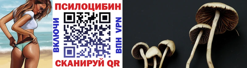 Галлюциногенные грибы мухоморы  Северо-Курильск 